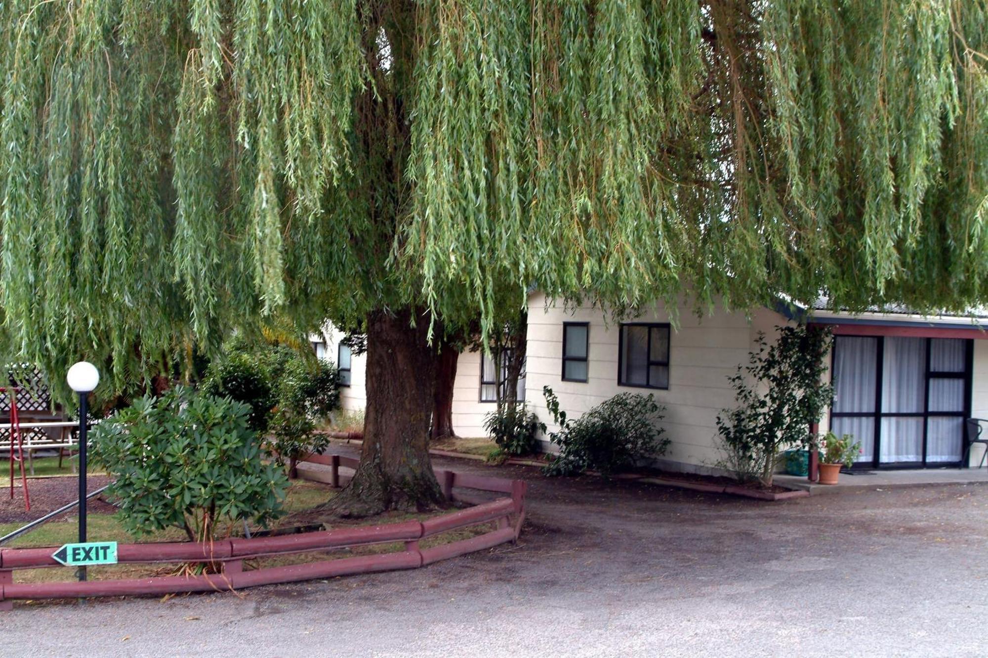 Camellia Court Family Motel Taupo Eksteriør bilde